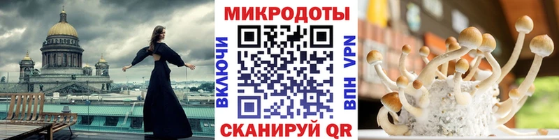 Галлюциногенные грибы MAGIC MUSHROOMS  где купить наркоту  Тулун 
